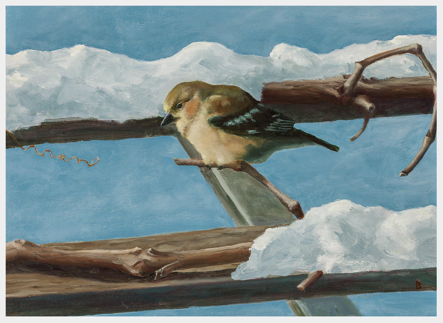 Realistic oil painting of a goldfinch in winter plumage perched on a grapevine amid snow on a pergola