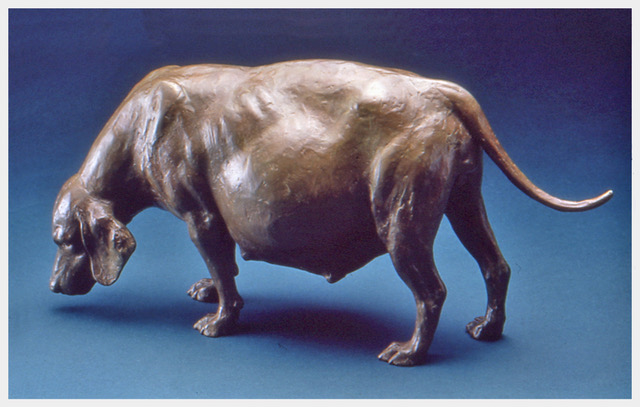 Realistic bronze sculpture table-size of a very pregnant beagle with her head sniffing the ground
