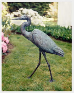 Realistic bronze sculpture life-size of a Great Blue Heron walking, head turned slightly left