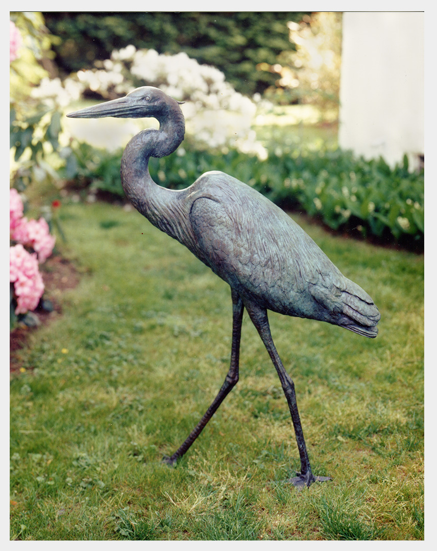 Realistic bronze sculpture life-size of a Great Blue Heron walking, head turned slightly left