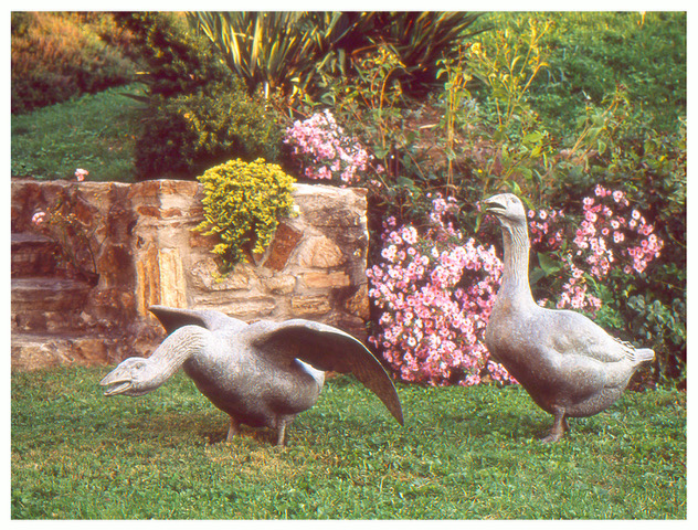 Realistic bronze sculpture life-size of two geese, both honking: one alert, with its head up and wings folded, the other aggressive with wings spread and neck extended