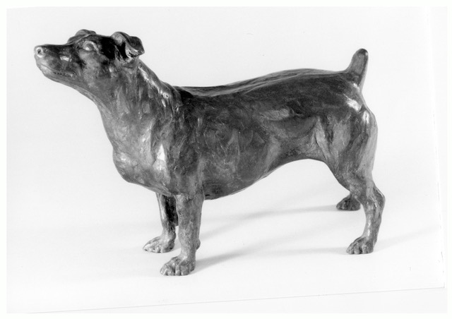 Realistic bronze sculpture of a short-legged Jack Russell Terrier standing and looking up, alert