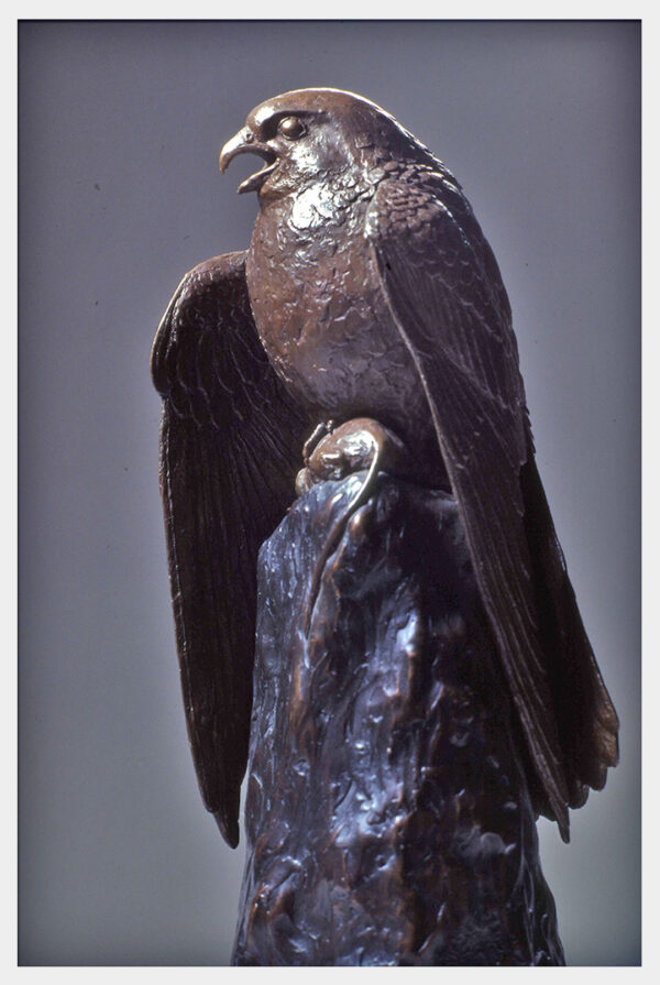 Realistic bronze sculpture table-size of a kestrel, beak open while his head is turned to the left wings shouldered forward sheltering his prey a mouse in his talons settled on an outcrop.