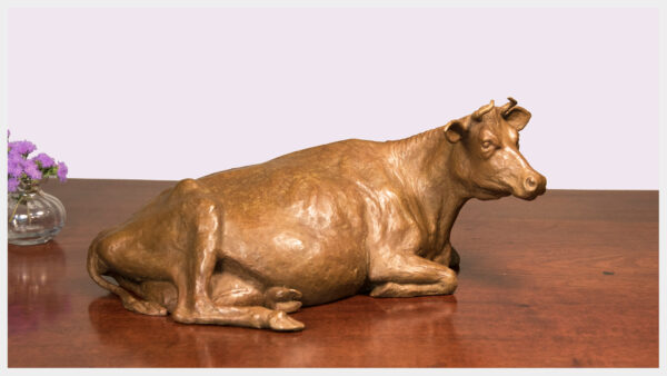 Realistic bronze sculpture of a pregnant cow reclining on her left side, her head turned to the right