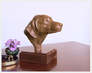 Realistic bronze sculpture Labrador Retriever table-size head